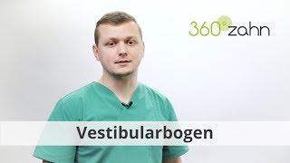 Vestibularbogen - Was ist das? | Dental-Lexikon | 360°zahn