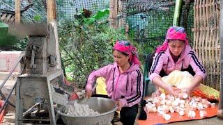 Mom pulled up fresh cassava then put it in a machine to grind into powder to store as animal feed.