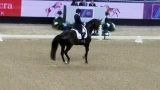 FEI Dressage World Cup Freestyle Kasey Perry-Glass