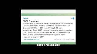 Долги по налогам Владимир Соловьев