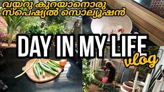 NO MORE BELLY FAT!!/Home remedy for reducing belly fat/Nesis archives/Lunch from backyard garden