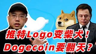 马斯克疯狂喊单狗狗币！推特Logo小鸟变柴犬，马斯克为何这样做？狗狗币要飞了吗？马斯克喊单狗狗币的底层逻辑是什么？#dogecoin