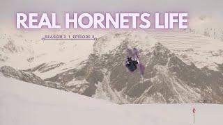 Real Hornet's Life S2E2