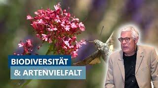 Biodiversität und Artenvielfalt: Bedrohung und Bedeutung – Vortrag von Prof. Dr. Johannes Steidle