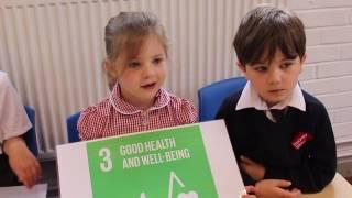 SDG 3: Good Health and Wellbeing