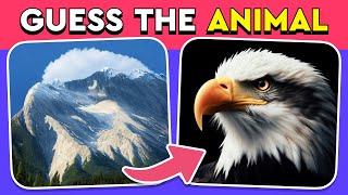 Guess the Hidden Animal by ILLUSION  Easy, Medium, Hard levels Quiz