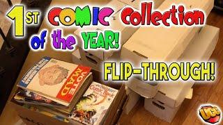 FIRST Large Comic Acquisition of the YEAR! (Flip Through)