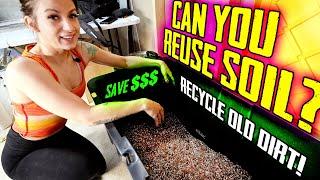 Can you reuse old soil? Recycling old soil at home!