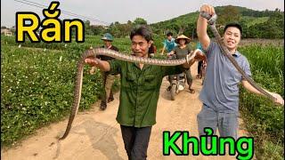 Chạy Theo Tiếng Hô Hào Đi Bắt Rắn Khủng Và Món Dồi Rắn Ngon Nhức Nách | Catch Giant Snakes | HUY ANH