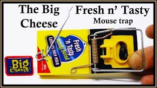 The Big Cheese - Fresh N' Tasty Mouse Trap. Mousetrap Monday