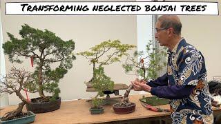 Transforming more Neglected Bonsai