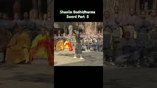 Shaolin Bodhidharma Sword Part  5. #kungfu #sword #neuquen #chien