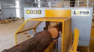 Amazing Modern Automatic Wood Cutting Sawmill Machines - Incredible Modern Woodworking Factory