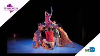 Sarasota Contemporary Dance: The Cuban Project at The Moss Center