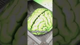 Brainy Bites Unraveling Human Brain Facts