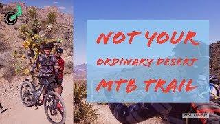 What is like to MTB in the desert? // Red Rock Canyon outside Las Vegas, Nevada