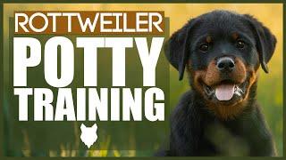 PUPPY TRAINING! ROTTWEILER POTTY TRAINING