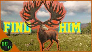 Hunting For The Great One! Call Of The Wild