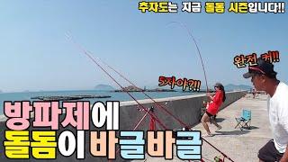 방파제에 돌돔이 왜케 많어! 추자도 원투낚시 / 추자도 낚시 / caravan  camping car / Fishing / 캠핑카