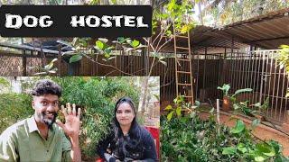 Dog hostel @shibin77 | Pet boarding@shibin77 | pet holiday