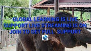 Global Learning is live