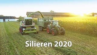 Silieren 2020 | Claas Jaguar | Fendt Power | Valtra