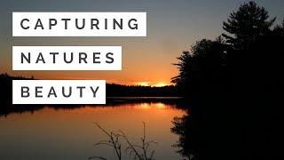 Capturing Nature's Beauty | Sunsets, Wildlife & B-Roll