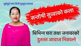 सन्तोषी सुव्वाको कला ॥ CHUICHUI PARERA TV