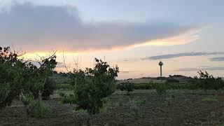 Visite du Jardin et les arbres fruitiers