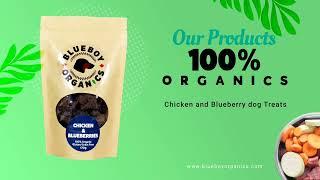 Blueboy Organics by Pet Marketing Agency