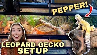 Setting Up A NEW Leopard Gecko Enclosure! | Upgrade For Pepper!