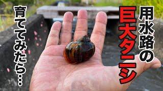 とんでもない結果になった！