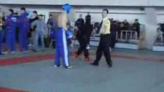 Moldova Voievod Open 2007 (Taekwondo/Kickboxing mix)