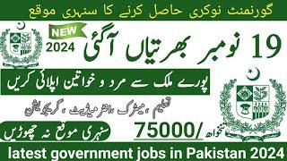 Latest government November jobs 2024 ۔ New jobs 2024 in pakistan۔Latest jobs in Pakistan 2024 today