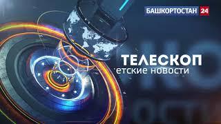 Всё про лошадей от Маши