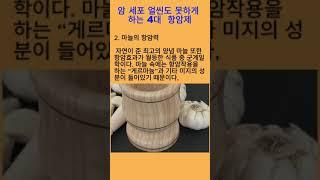 4대 항암 음식 #항암 #항암식단 #건강정보 #100세건강