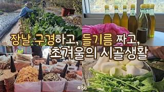 sub)visiting rural market on a market day! making perilla oil,  making kimchi, Korean dishes, sujebi