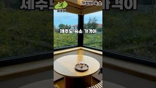 제주도에 이런 가성비 숙소가 있다고요?! 5곳(제주도여행 시 필수 영상)