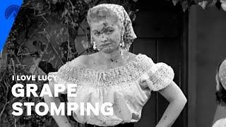 I Love Lucy | Lucy Stomps Grapes In Italy (S5, E23) | Paramount+