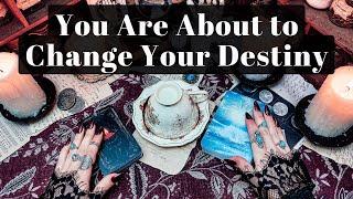 You Are About to Shift Timelines And Change Your Destiny Forever - Coffee & Tarot Reading