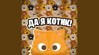 Кот На Стиле