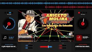 ANICETO MOLINA MIX BAILABLES 2024 BASS  ÐJ JUλ₦ ₡λŘŁØŞ λŁVλŘλÐØ