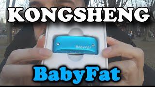 Harmonica Review - Kongsheng BabyFat!