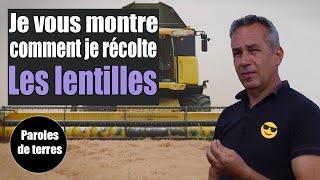 Comment les lentilles vertes sont-elles récoltées ? Paroles de Terres - Saison 3 #18