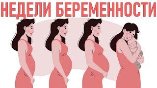 БЕРЕМЕННОСТЬ ПО НЕДЕЛЯМ | Как развивается беременность по неделям