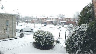 多伦多今日份早晨的大雪！很美，这就是喜欢加拿大的一个原因！Toronto Snow！