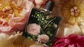 Dahlia & Vines: Behind the Scent | NEST Fragrances