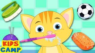 Kitten Morning Routine | Fun Learning Videos For Kids by @kidscamp