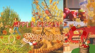 Apple Picking & Apple Pie (Thanksgiving vlog)