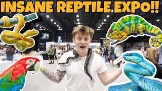 I SPENT OVER 3,000$ AT This REPTILE EXPO..**INSANE**